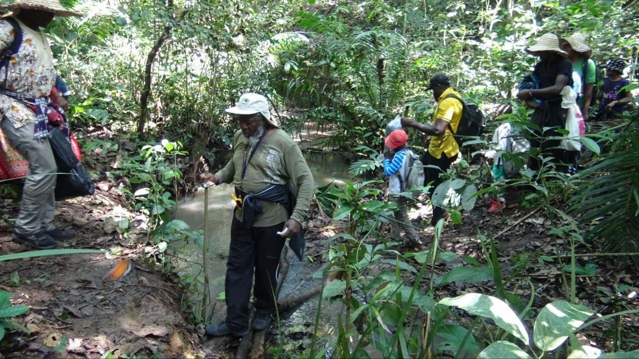 Trekking 15
