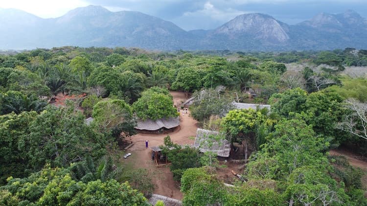Village 4