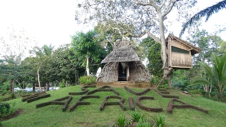 Village 17