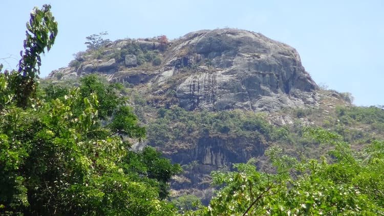 Trekking 7