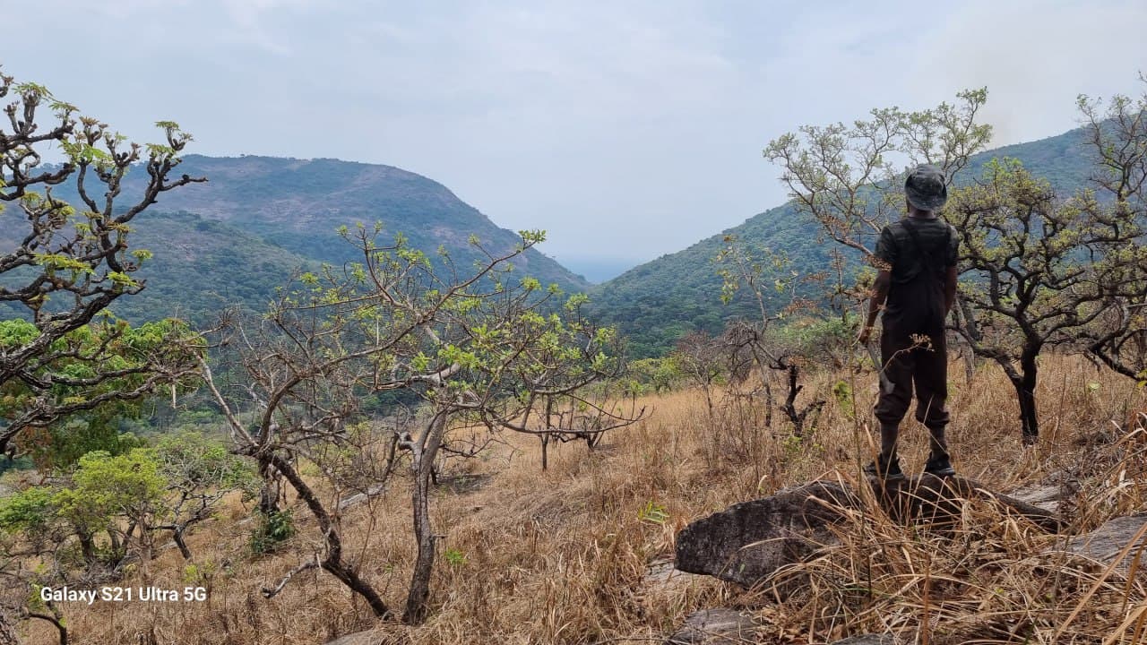 Trekking 14