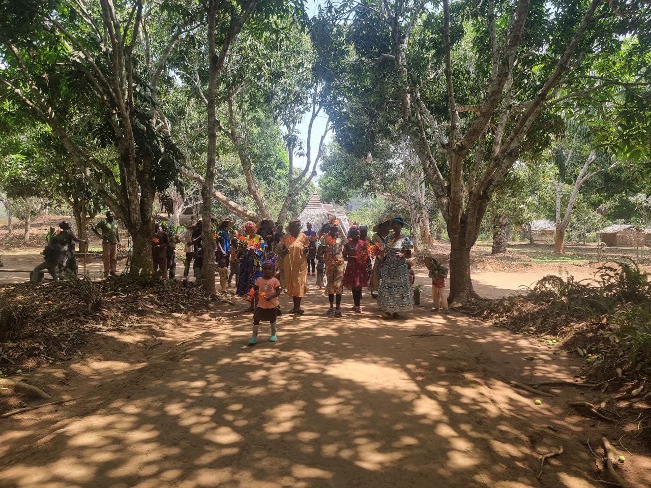 Visite 14