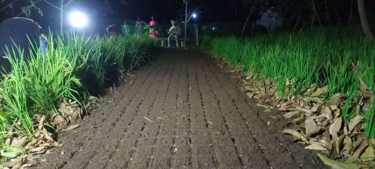 AGRICULTURE image 11