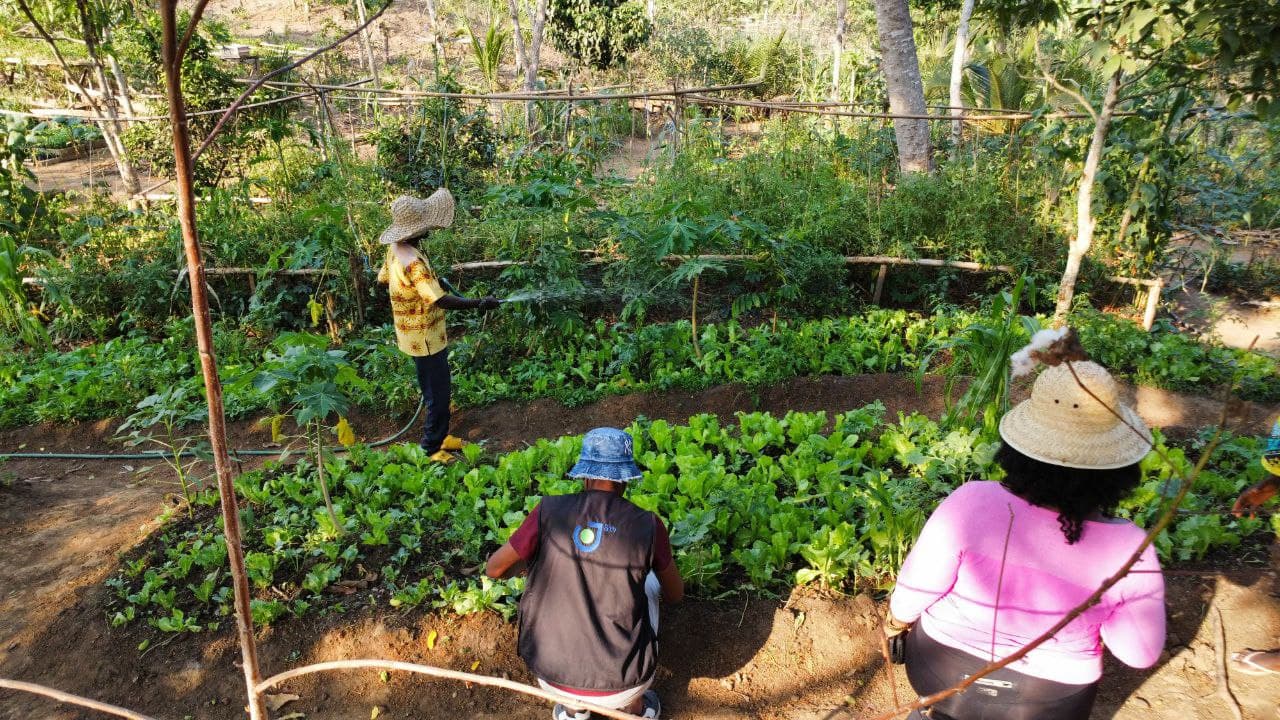 AGRICULTURE image 10