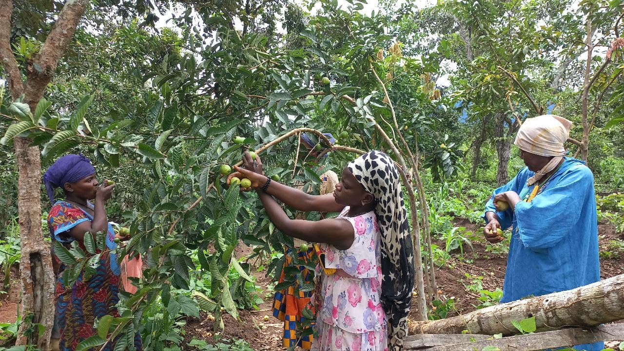 AGRICULTURE image 9