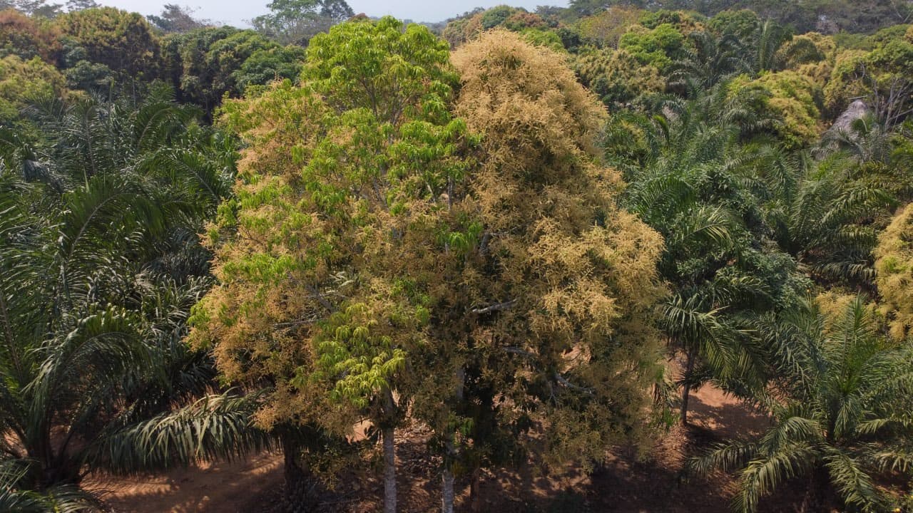 AGRICULTURE image 8