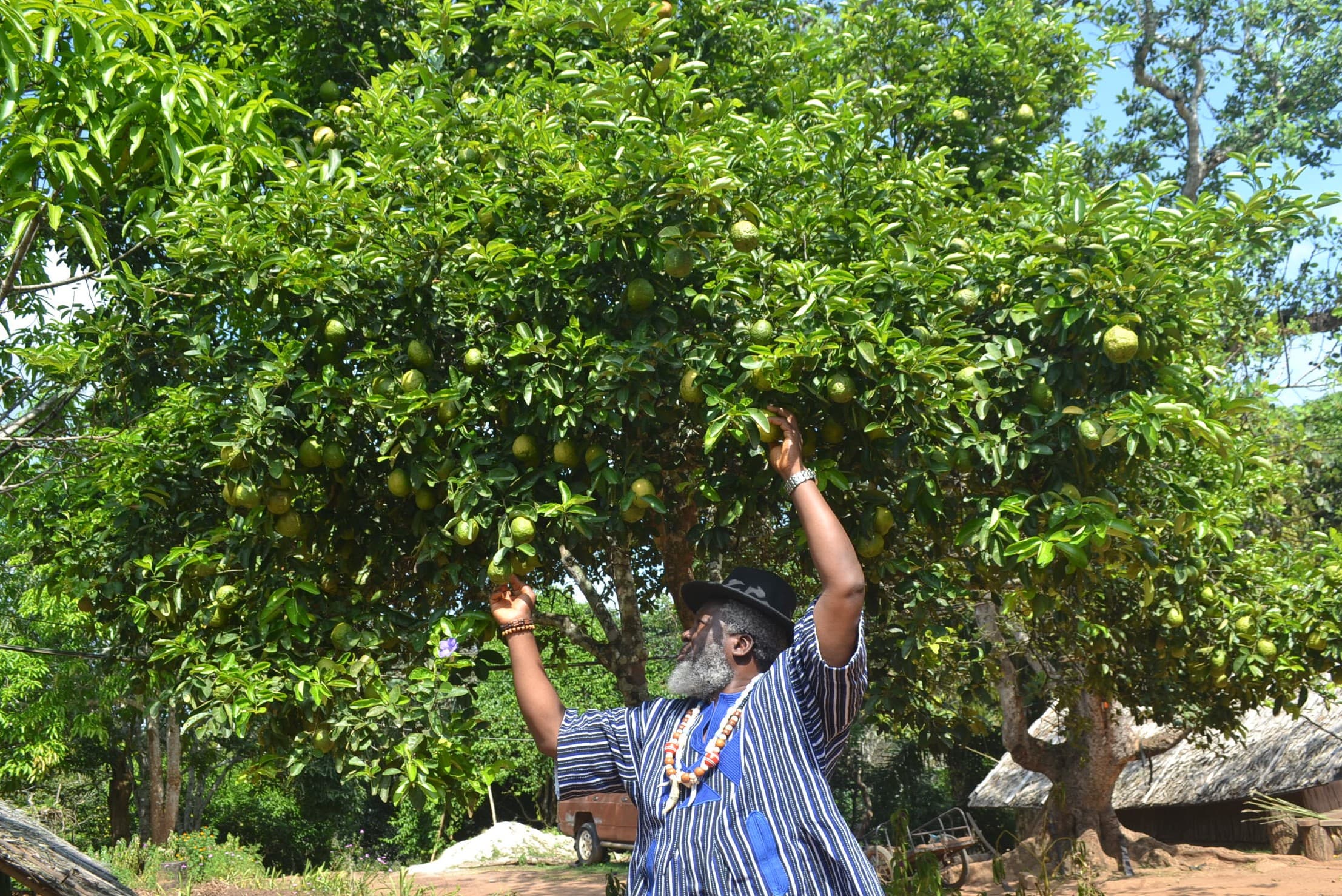 AGRICULTURE image 7