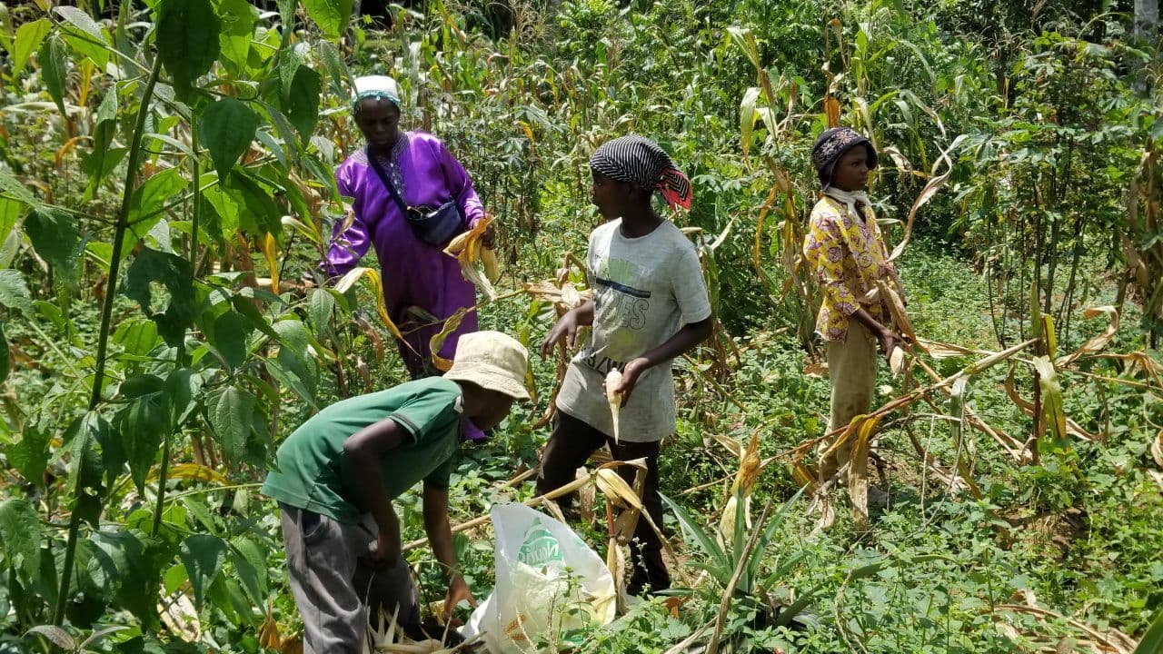 AGRICULTURE image 6