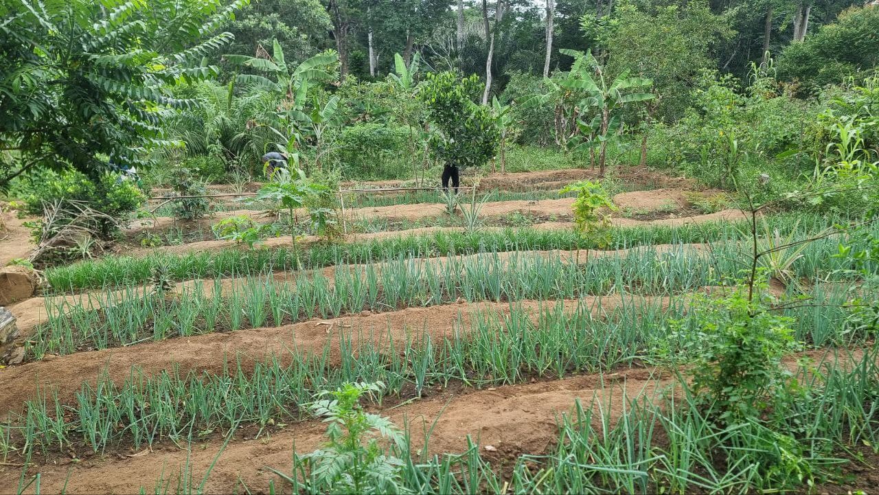 Agriculture