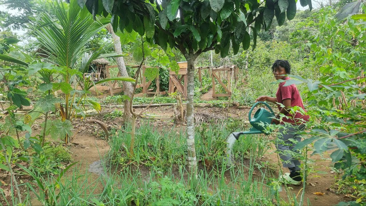 AGRICULTURE image 4